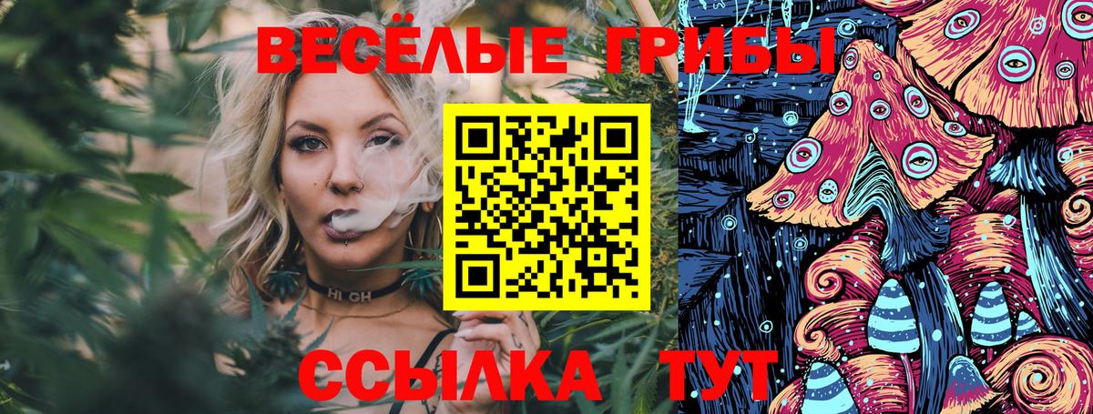 Тамбов  Галлюциногенные грибы Psilocybine cubensis  Вход с VPN  Псилоцибиновые грибы Psilocybe 